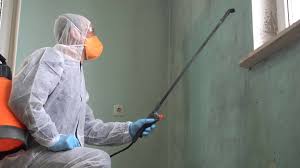 Best Residential Mold Inspection & Testing in South Floral Park, NY